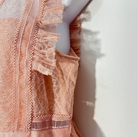 Heartloom Lace Flutter BabyDoll Sheer‎ Dusty Pink Top Size M - Picture 3 of 9